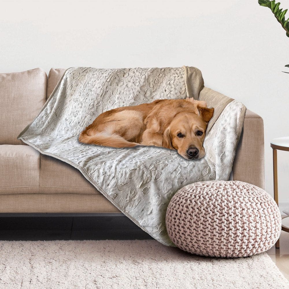 Doggy Decor: The Ultimate Guide to Waterproof Pet Throws