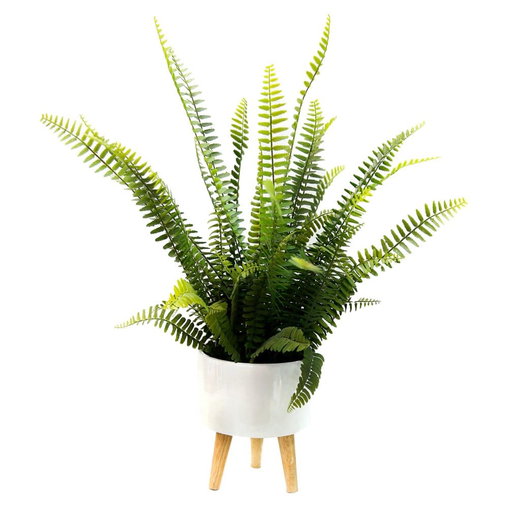 27 Artificial Sword Fern in White Ceramic Pot Tripod Stand - Decor - 27