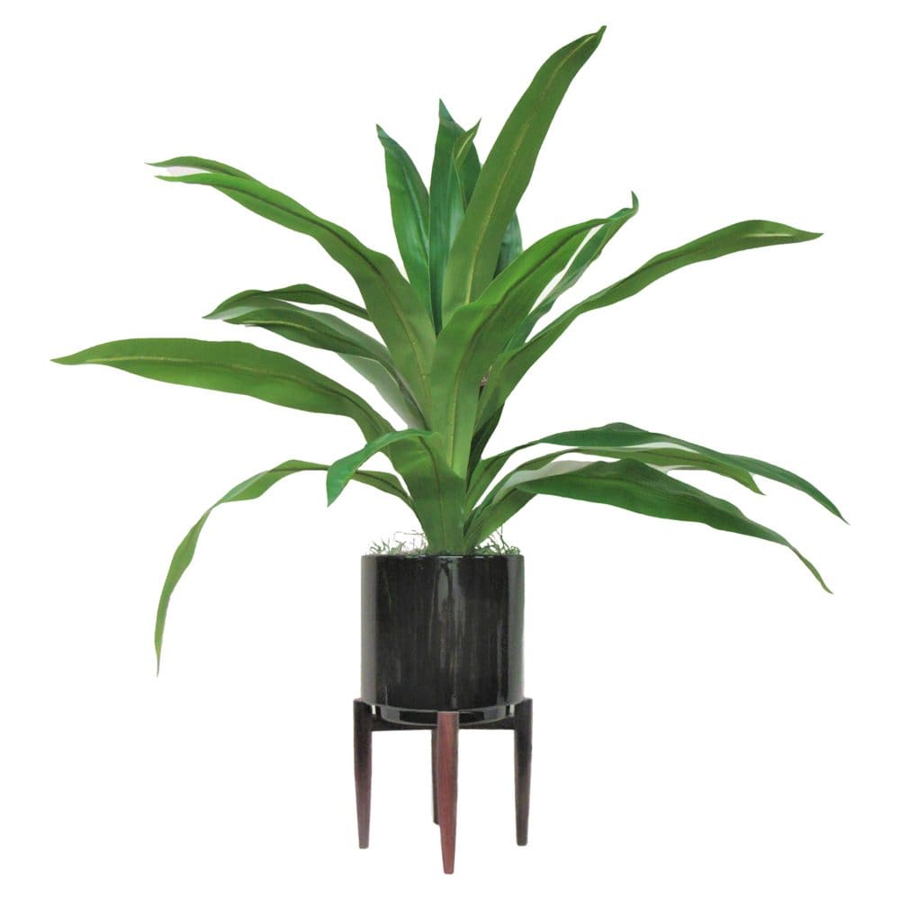 40 Faux Dracaena in Black Ceramic Stand - Decor - 40