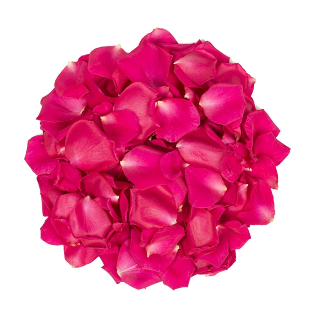 5,000 Rose Petals - Hot Pink - InBloom