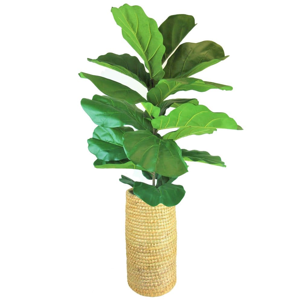 52 Faux Deluxe Fig Bush in Cylinder Basket - Decor - 52