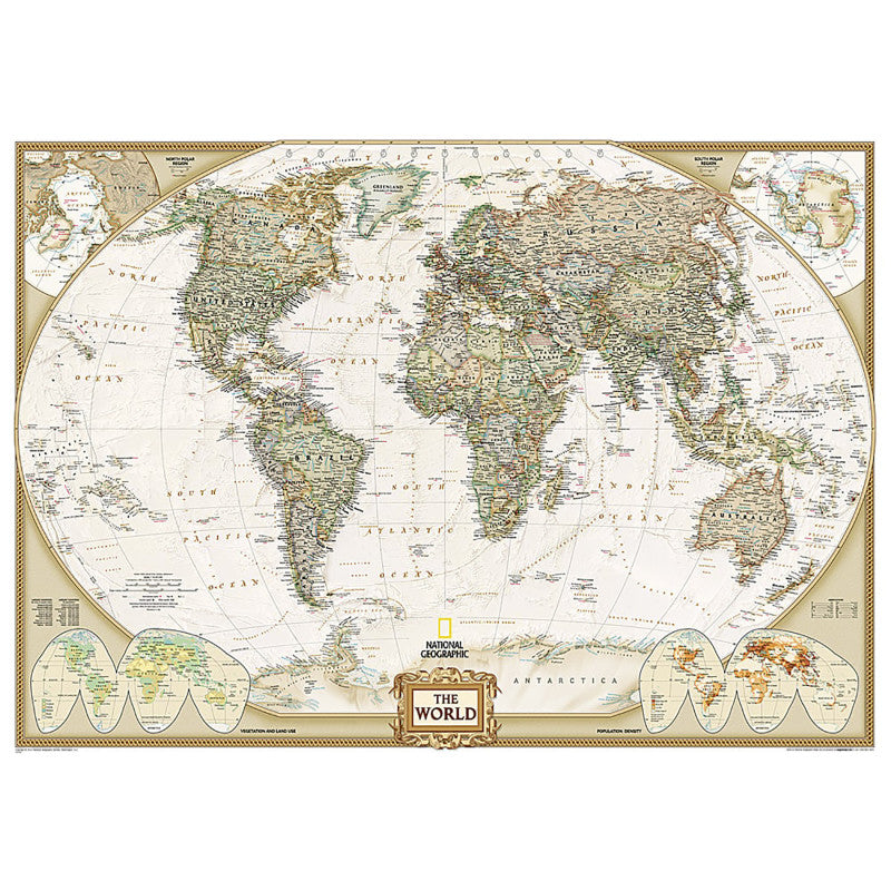 World Executive Map Mural