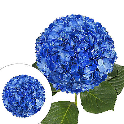 Hand Painted Metallic Blue Hydrangeas