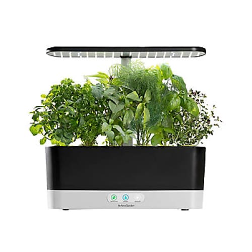 AeroGarden Harvest Slim Holiday Bundle with Red Heirloom Cherry Tomato Seed Pod Kit and Recipe Booklet - Home/Lawn & Garden/Gardening &