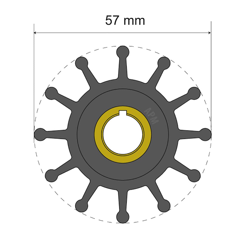 Albin Group Premium Impeller Kit 57 x 12.7 x 20mm - 12 Blade - Key Insert - Marine Plumbing & Ventilation | Impellers - Albin Group