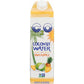 C2O C20 Water Coconut with Pineapple, 1 lt