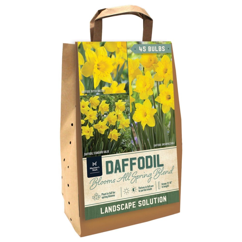 Daffodil Collection - Package of 45 Dormant Bulbs - Seeds & Bulbs - Daffodil