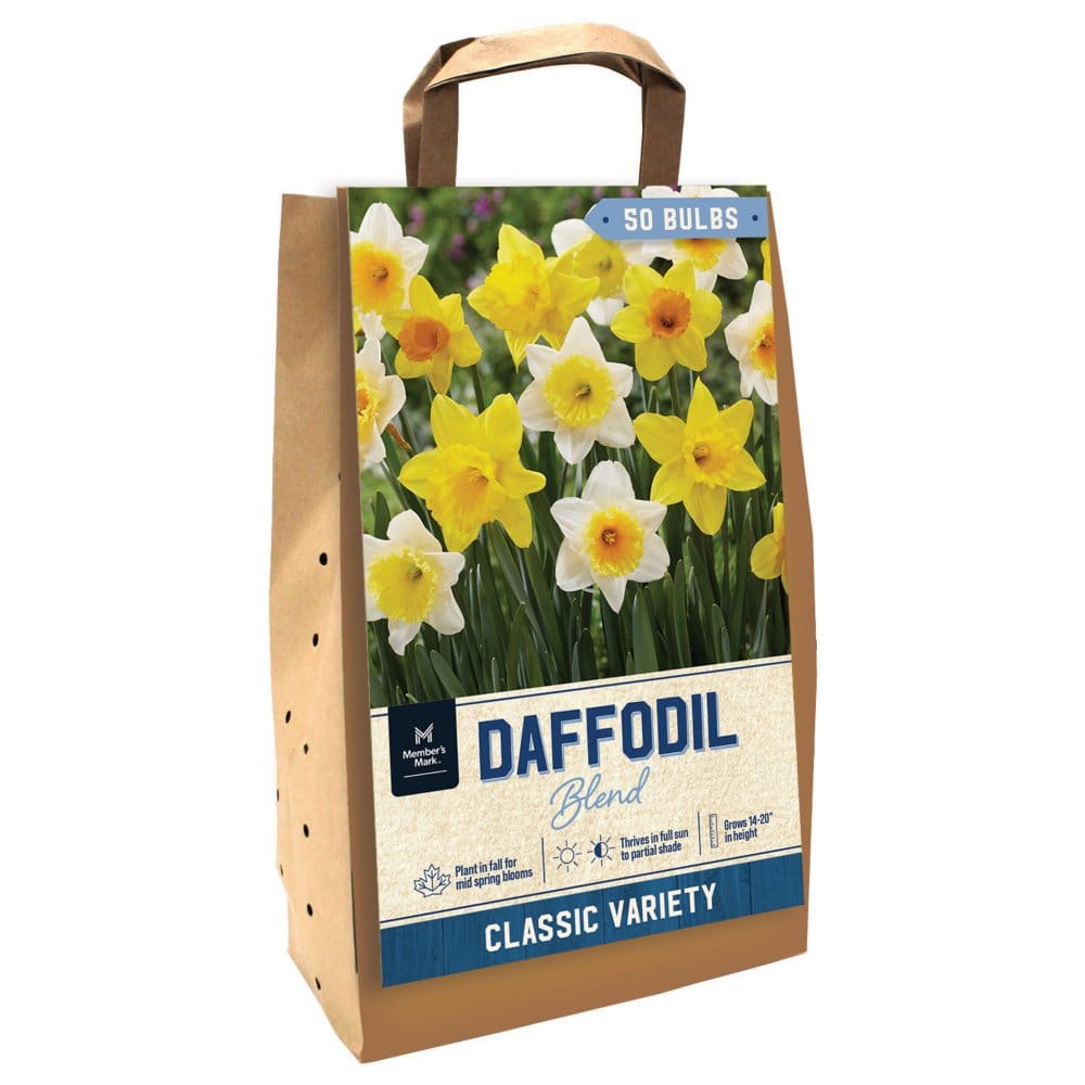Daffodil Mixed - Package of 50 Dormant Bulbs - Seeds & Bulbs - Daffodil