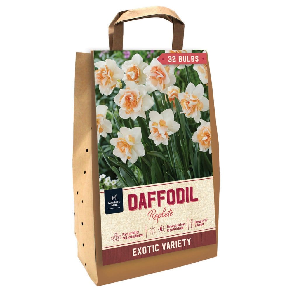 Daffodil Replete - Package of 32 Dormant Bulbs - Seeds & Bulbs - Daffodil