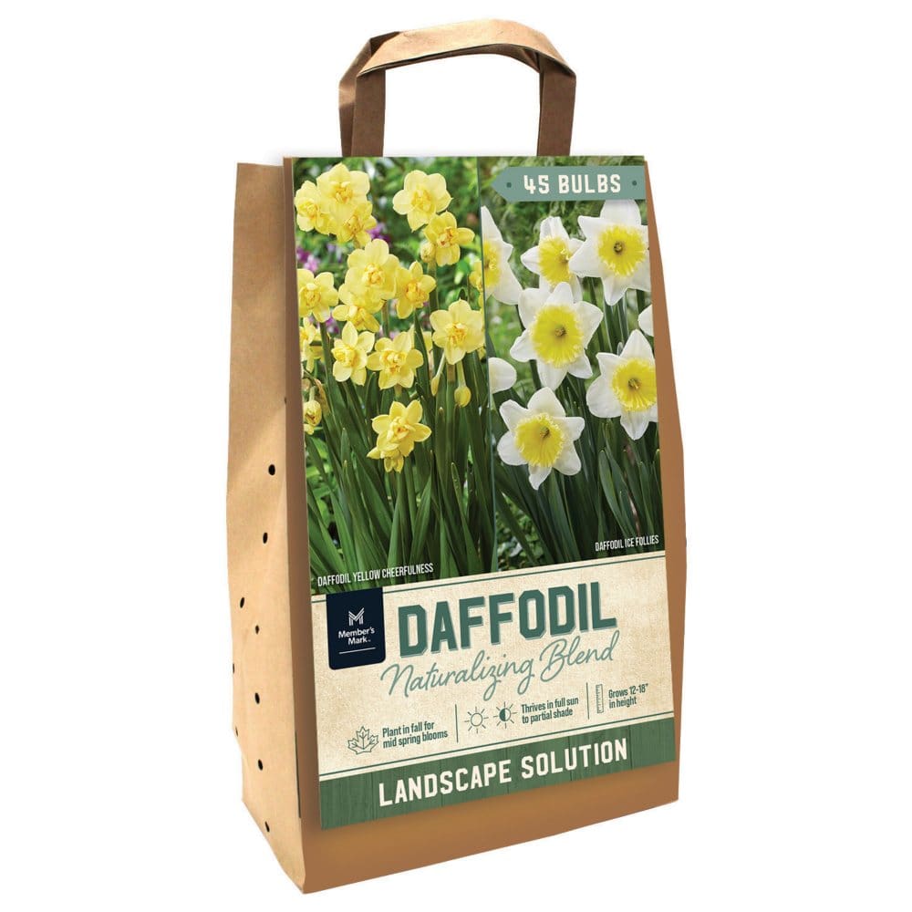 Daffodils for Naturalizing - Ice Follies and Yellow Cheerfulness - Package of 45 Dormant Bulbs - Seeds & Bulbs - Daffodils