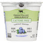 Green Valley Creamery Green Valley Organics Yogurt Low Fat Lactose Free Blueberry, 6 oz