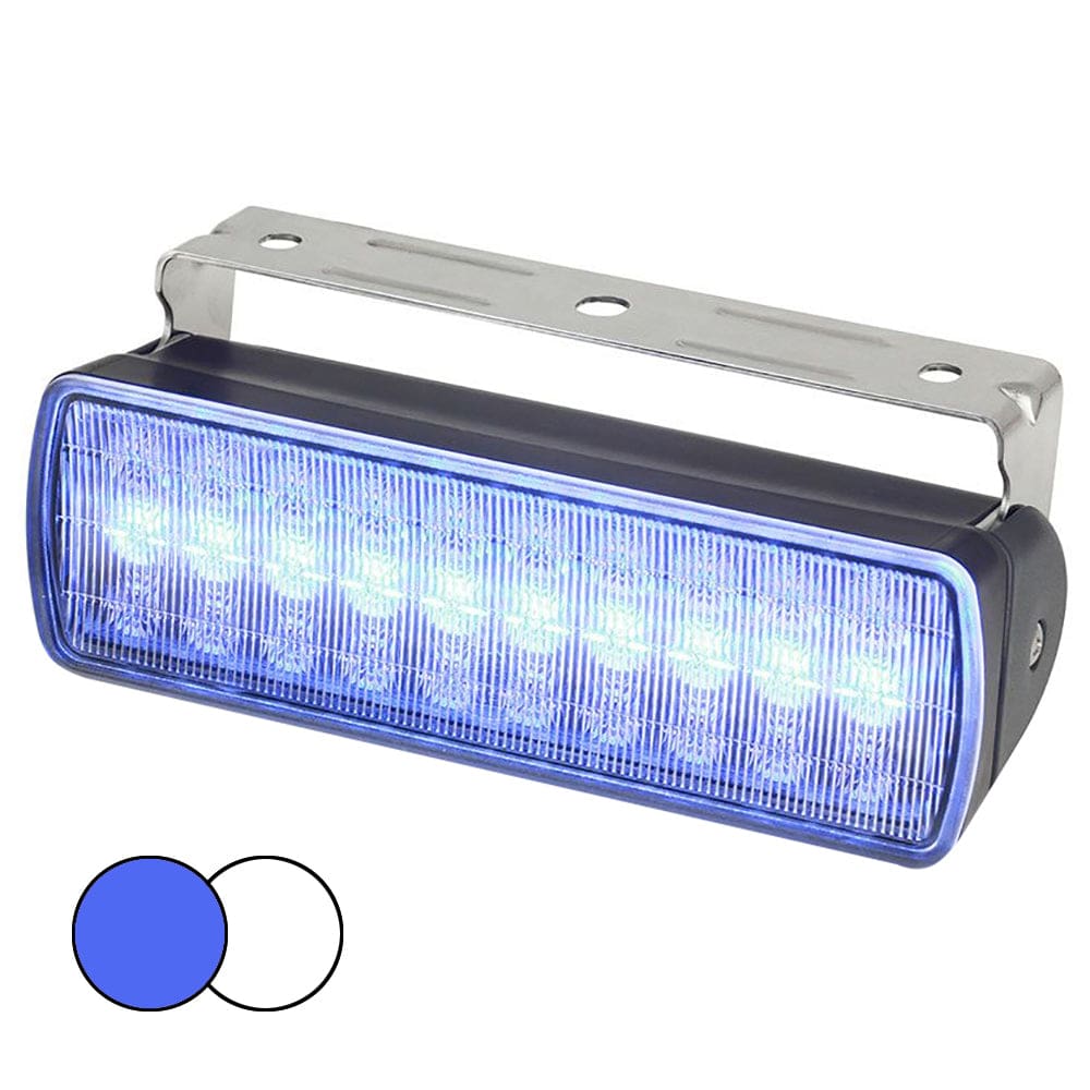 Hella Marine Sea Hawk XL Dual Color LED Floodlights - Blue/ White LED - Black Housing - Lighting | Flood/Spreader Lights - Hella Marine