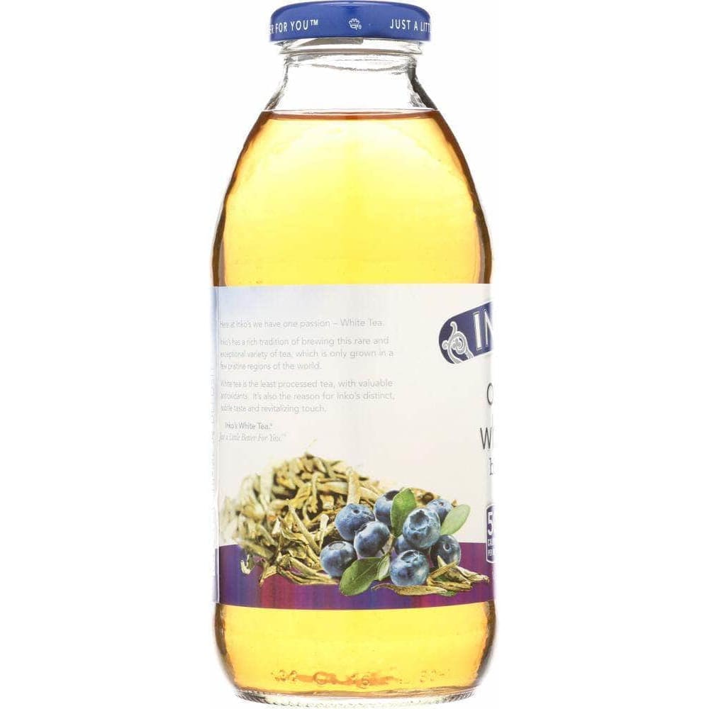 Inkos Inkos Organic White Tea Blueberry, 16 Fl oz