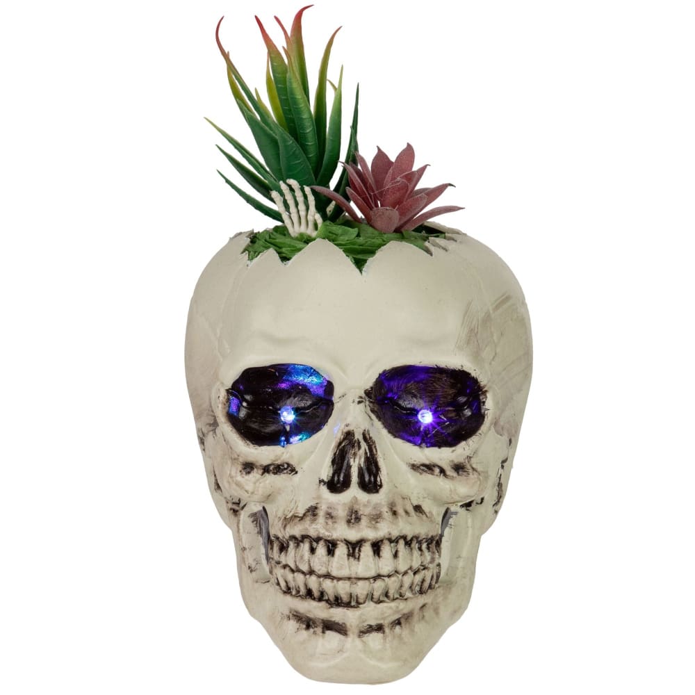 Northlight 8.75 LED Lighted Succulent Halloween Skull Planter - Home/Seasonal/Halloween & Harvest/Halloween Decor/ - Northlight