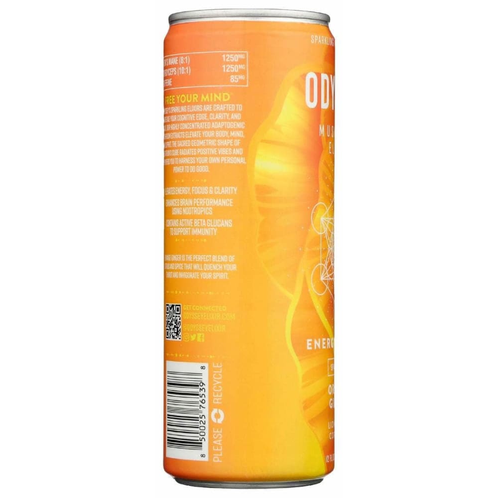 ODYSSEY ELIXIR Grocery > Beverages > Energy Drinks ODYSSEY ELIXIR: Energy Plus Focus Orange Ginger, 12 fo