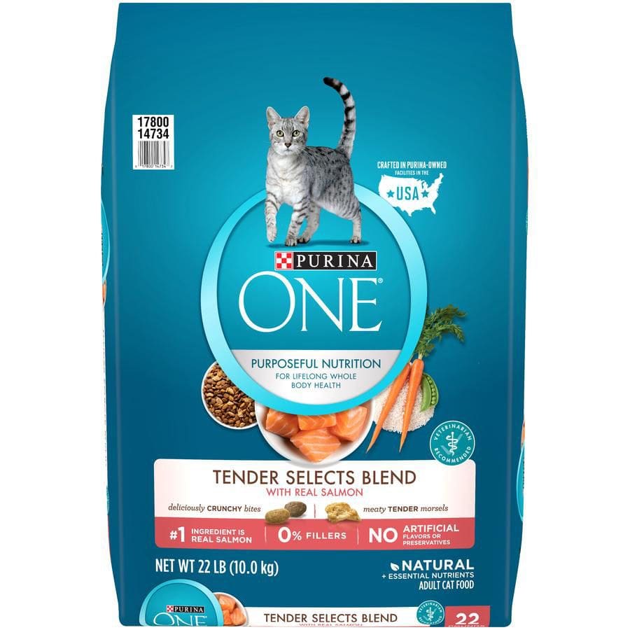 Purina ONE Tender Selects Blend With Real Salmon Natural Dry Cat Food 22 lb. - Purina