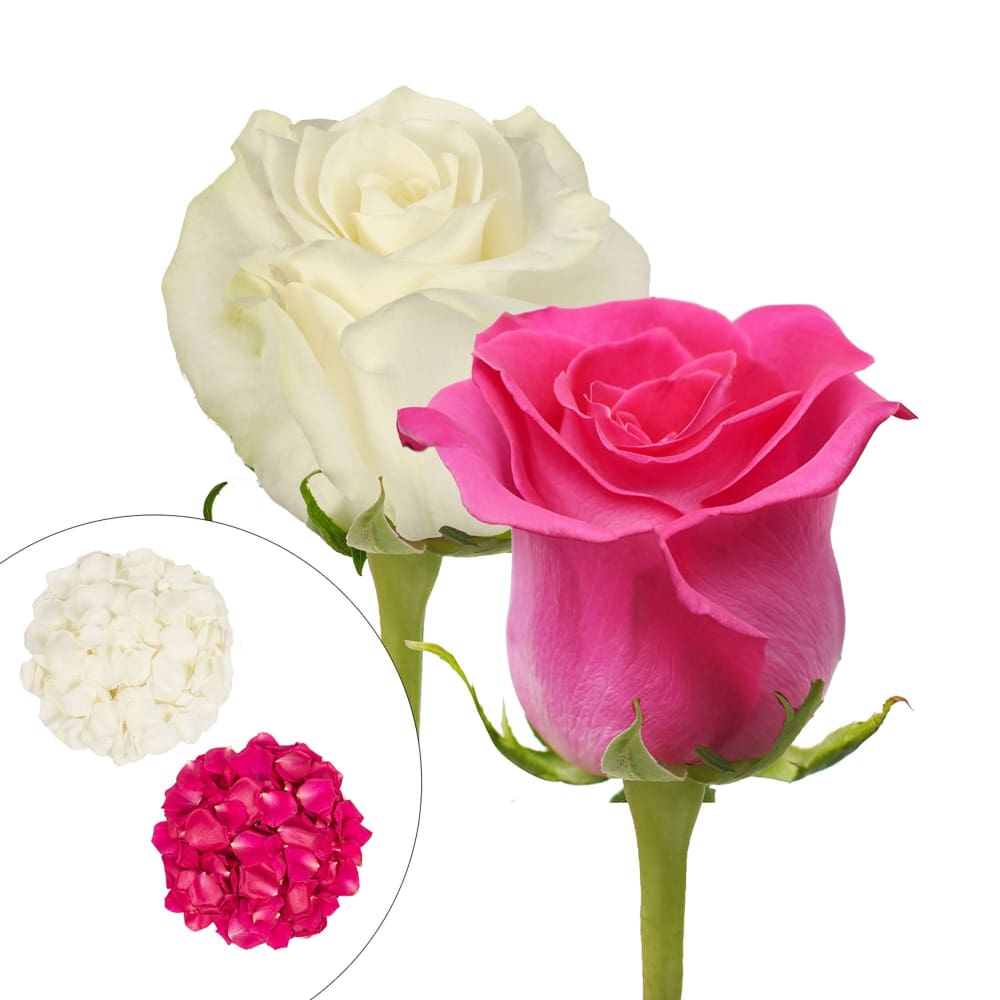 Roses and Petals Combo Box 50/25/2,000 pk. - Hot Pink White - InBloom