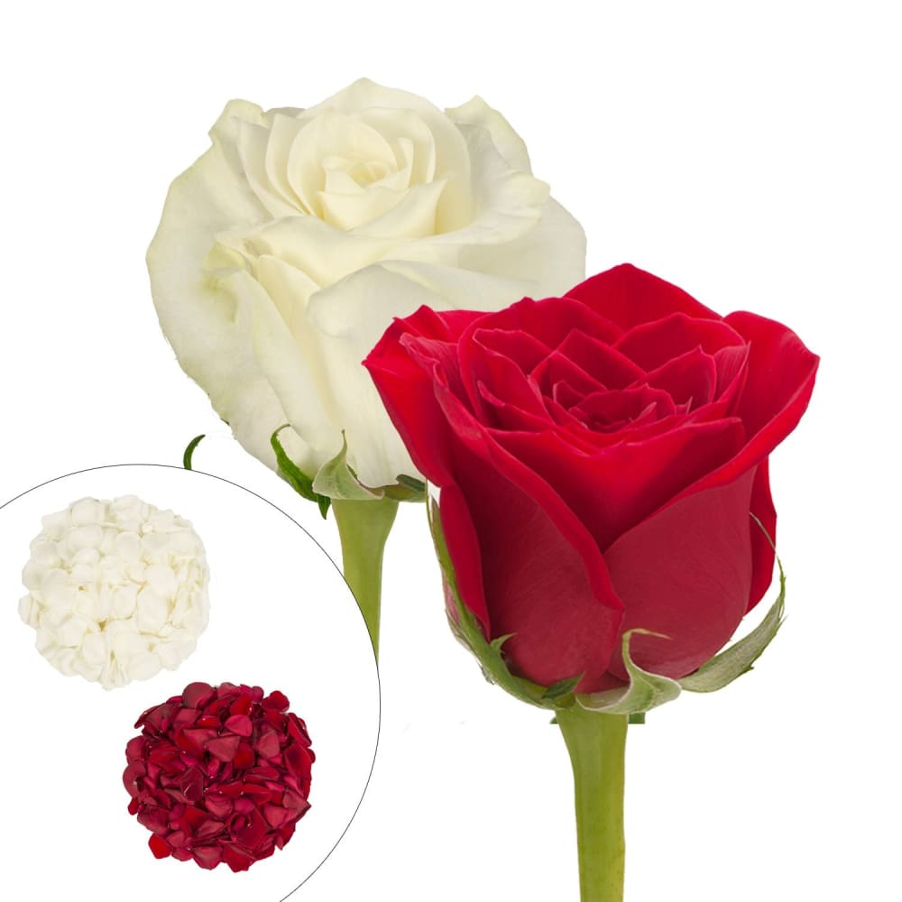 Roses and Petals Combo Box 50/25/2,000 pk. - Red White - InBloom