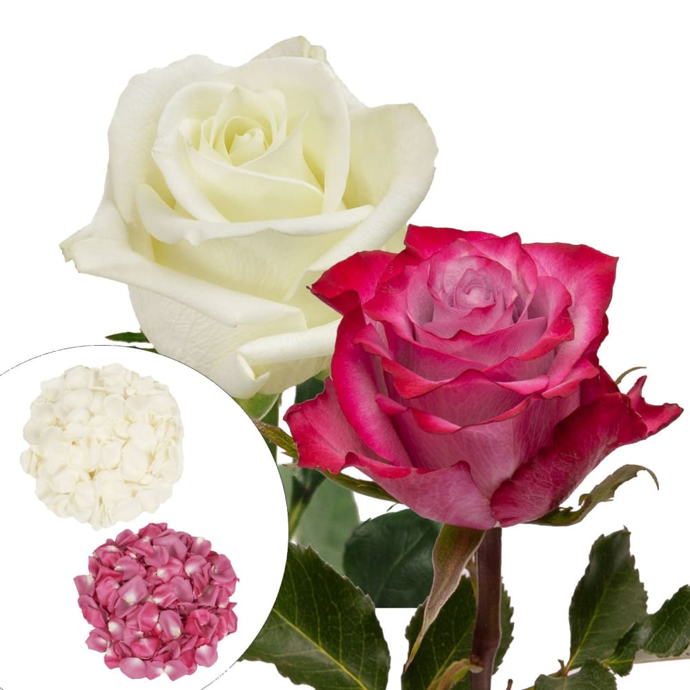 Roses and Petals Combo Box 50/25/2,000 pk. - White Lavender - InBloom