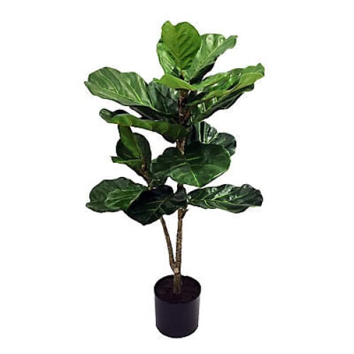 Winward 40 Fiddle Leaf Plant Tree Decorative Artificial Plant - Home/Home/Home Decor/Decorative Items/ - Winward