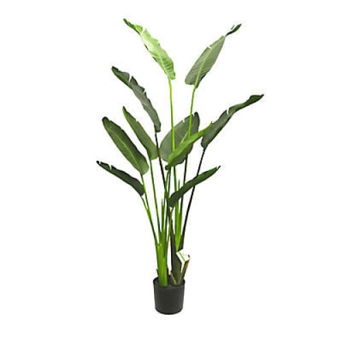 Winward 5’ Potted Travelers Palm Decorative Artificial Plant - Home/Home/Home Decor/Decorative Items/ - Winward