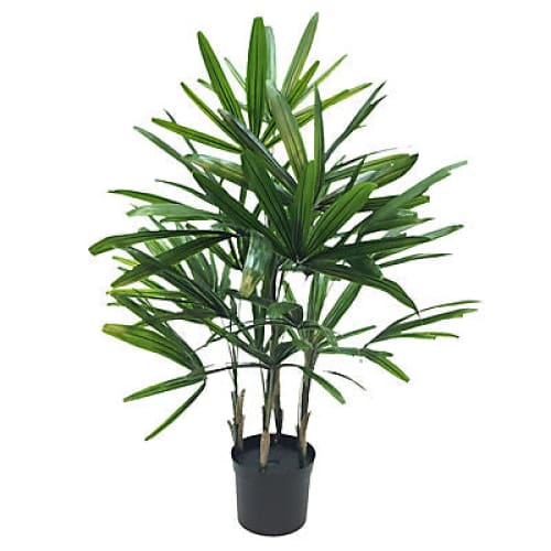 Winward Potted Rhapis Palm Plant Decorative Artificial Plant - Home/Home/Home Decor/Decorative Items/ - Winward