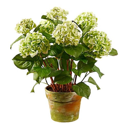 Winward Tuscan Potted Hydrangea Decorative Artificial Plant - Green - Home/Home/Home Decor/Decorative Items/ - Winward