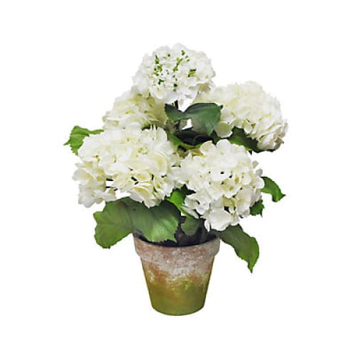 Winward Tuscan Potted Hydrangea Decorative Artificial Plant - White - Home/Home/Home Decor/Decorative Items/ - Winward