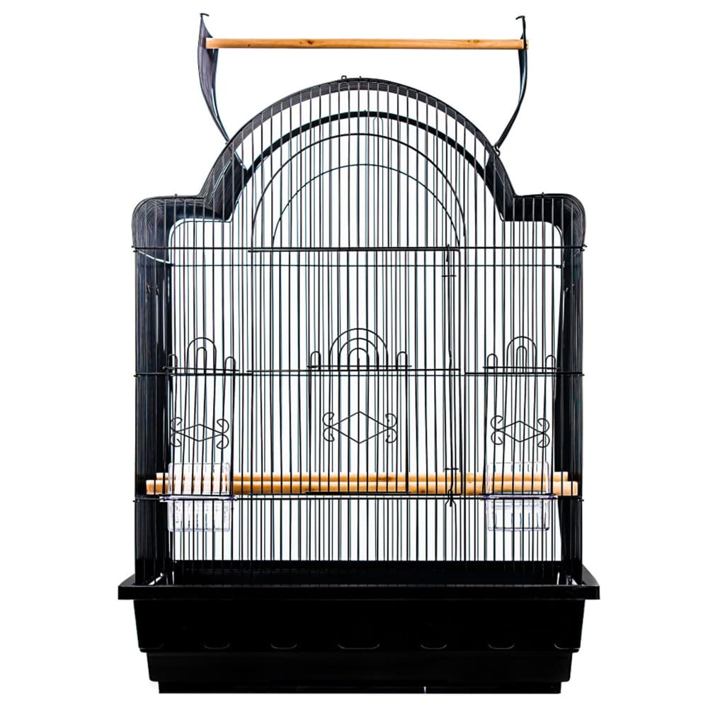 A and E Cages Victorian Open Top Bird Cage in Retail Box Assortment - Pet Supplies - A and E