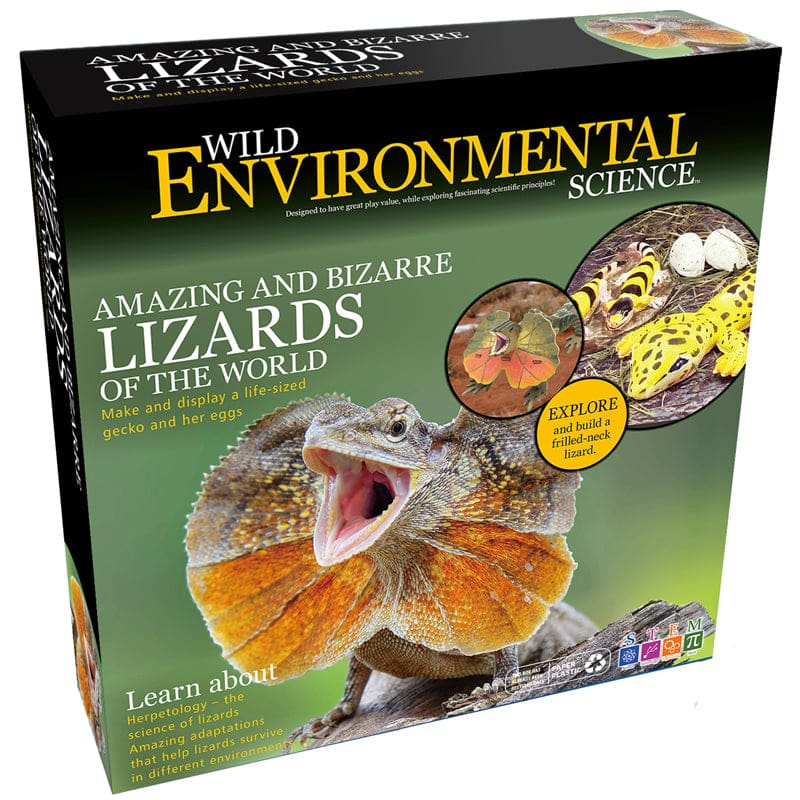 Amazing & Bizarre Lizards Of World Wild Environmental Science (Pack of 2) - Animal Studies - Learning Advantage