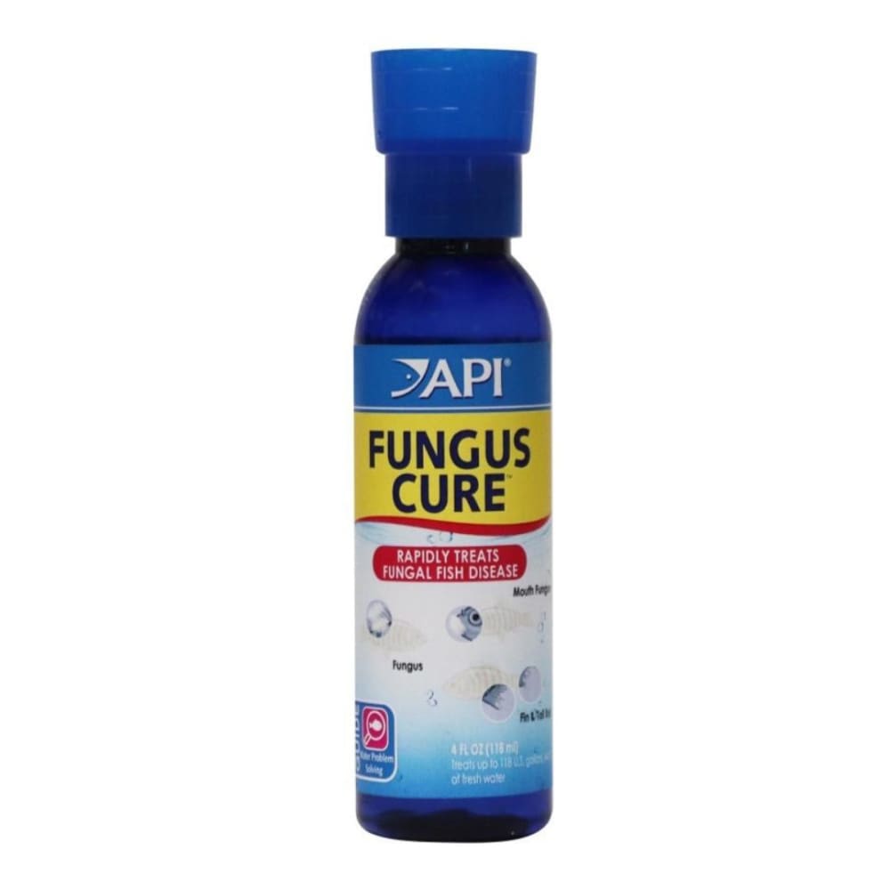 API Fungus Cure 1ea-4 oz - Pet Supplies - API