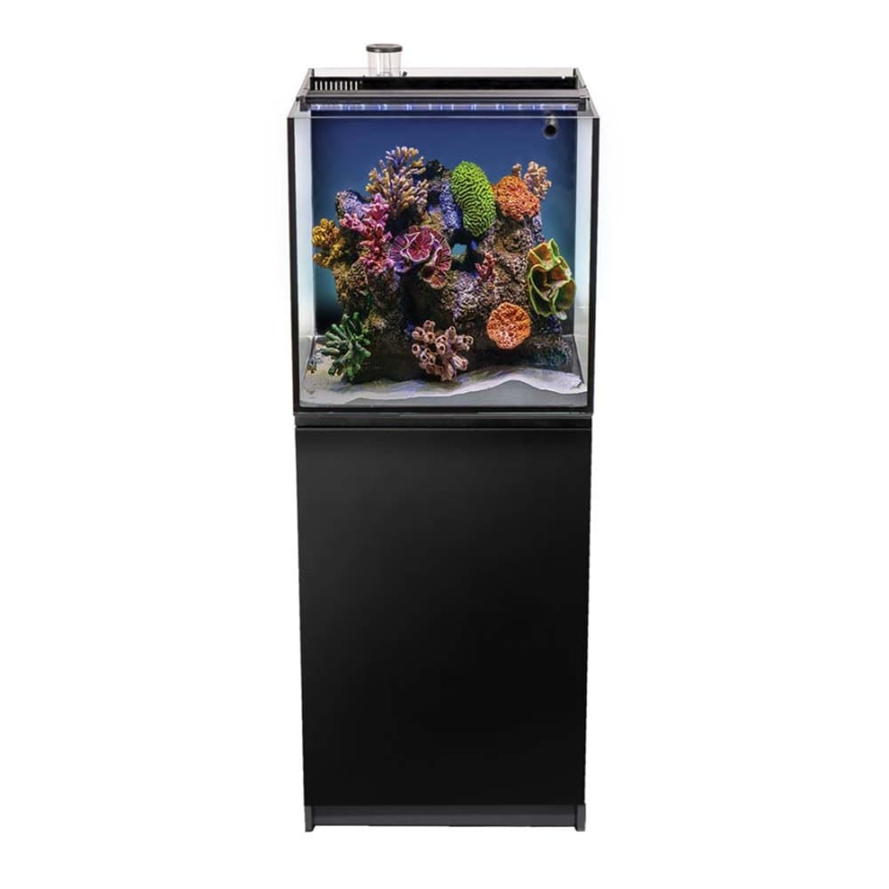 Aquatop Recife ECO Aquarium Kit with Stand Black; Clear; 1ea-24 gal - Pet Supplies - Aquatop