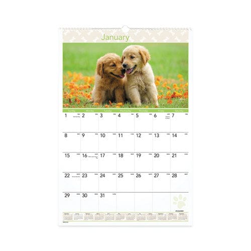 AT-A-GLANCE Puppies Monthly Wall Calendar Puppies Photography 15.5 X 22.75 White/multicolor Sheets 12-month (jan To Dec): 2023 - School