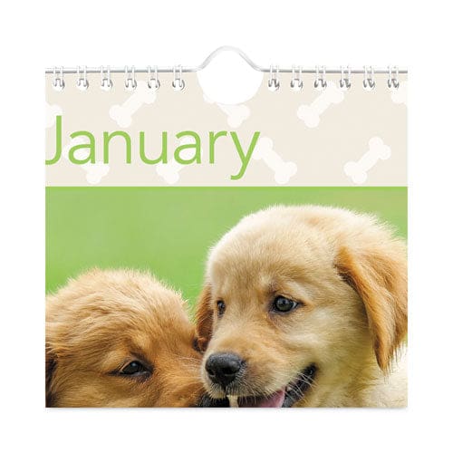 AT-A-GLANCE Puppies Monthly Wall Calendar Puppies Photography 15.5 X 22.75 White/multicolor Sheets 12-month (jan To Dec): 2023 - School