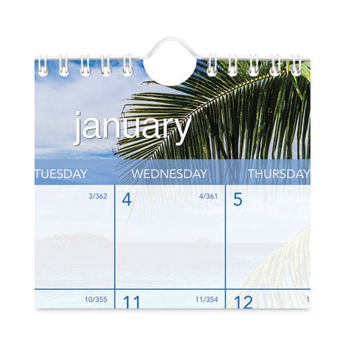 AT-A-GLANCE Tropical Escape Wall Calendar Tropical Escape Photography 15 X 12 Pale Blue/multicolor Sheets 12-month (jan To Dec): 2023 -