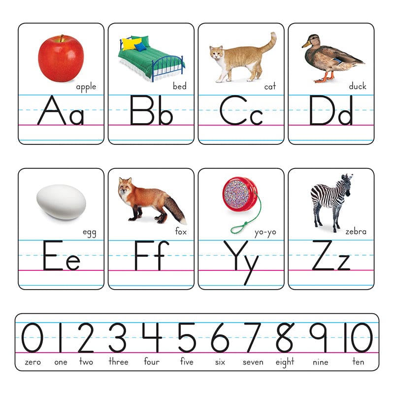 Bb Set Manuscript Photo Zaner- Bloser (Pack of 3) - Alphabet Lines - Trend Enterprises Inc.