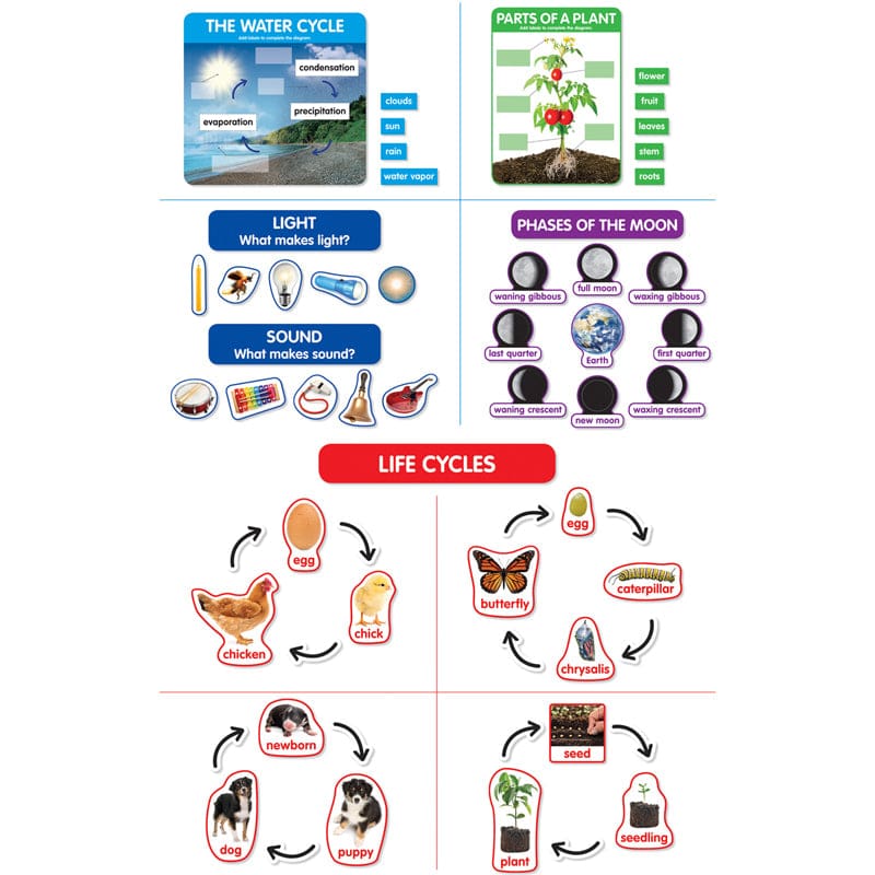 Bbs Early Science Concepts (Pack of 3) - Classroom Theme - Scholastic Teaching Resources