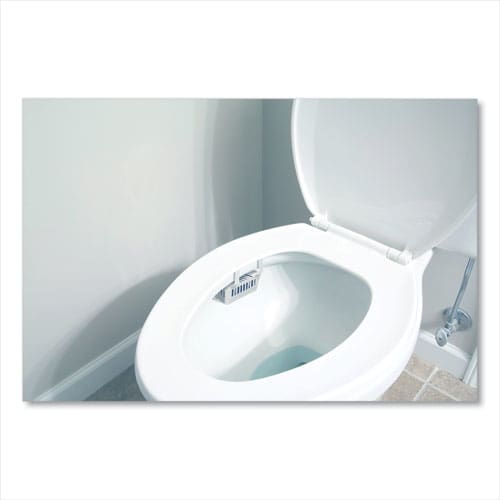 Big D Industries Non-para Toilet Bowl Block Lasts 30 Days Evergreen Scent White 12/box - Janitorial & Sanitation - Big D Industries