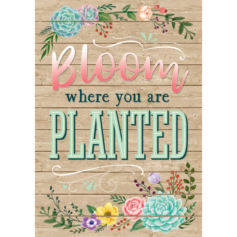 Bloom Where You Are Planted Poster (Pack of 12) - Motivational - Teacher Created Resources