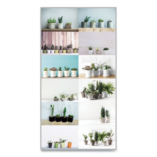 Blueline 12-month Wall Calendar Succulent Plants Photography 12 X 17 White/multicolor Sheets 12-month (jan To Dec): 2023 - School Supplies -