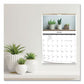 Blueline 12-month Wall Calendar Succulent Plants Photography 12 X 17 White/multicolor Sheets 12-month (jan To Dec): 2023 - School Supplies -