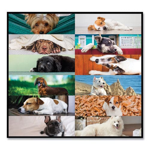 Blueline Pets Collection Monthly Desk Pad Puppies Photography 22 X 17 Black Binding Clear Corners 12-month (jan To Dec): 2023 - School