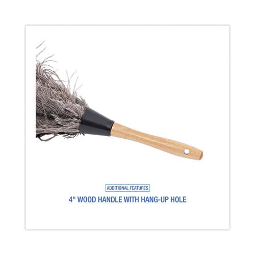 Boardwalk Professional Ostrich Feather Duster 4 Handle - Janitorial & Sanitation - Boardwalk®