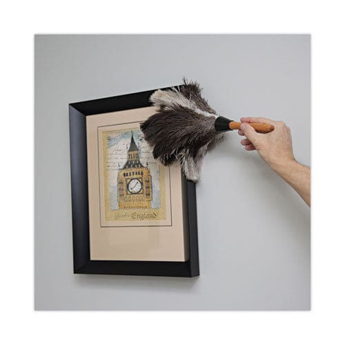 Boardwalk Professional Ostrich Feather Duster 7 Handle - Janitorial & Sanitation - Boardwalk®