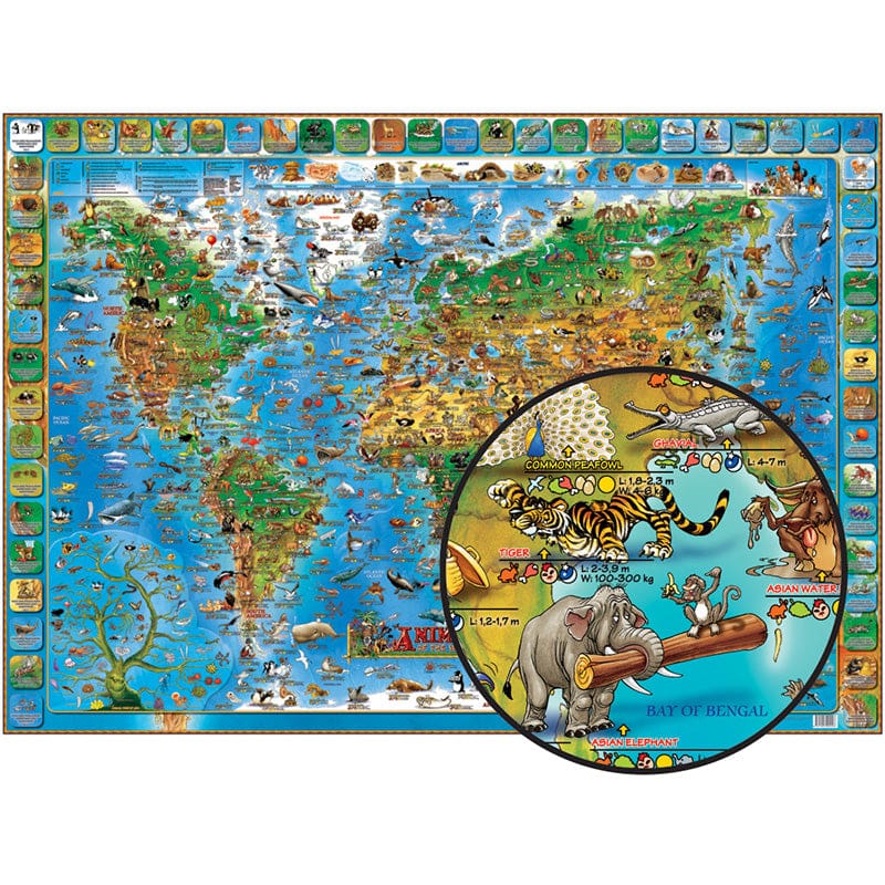 Childrens Animals Of The World (Pack of 2) - Maps & Map Skills - Round World Products