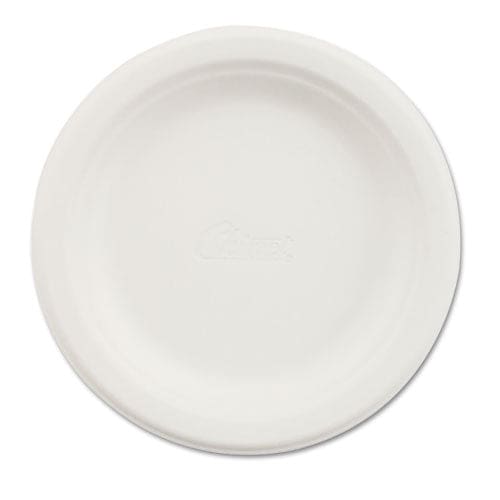 Chinet Paper Dinnerware Plate 6 Dia White 1,000/carton - Food Service - Chinet®