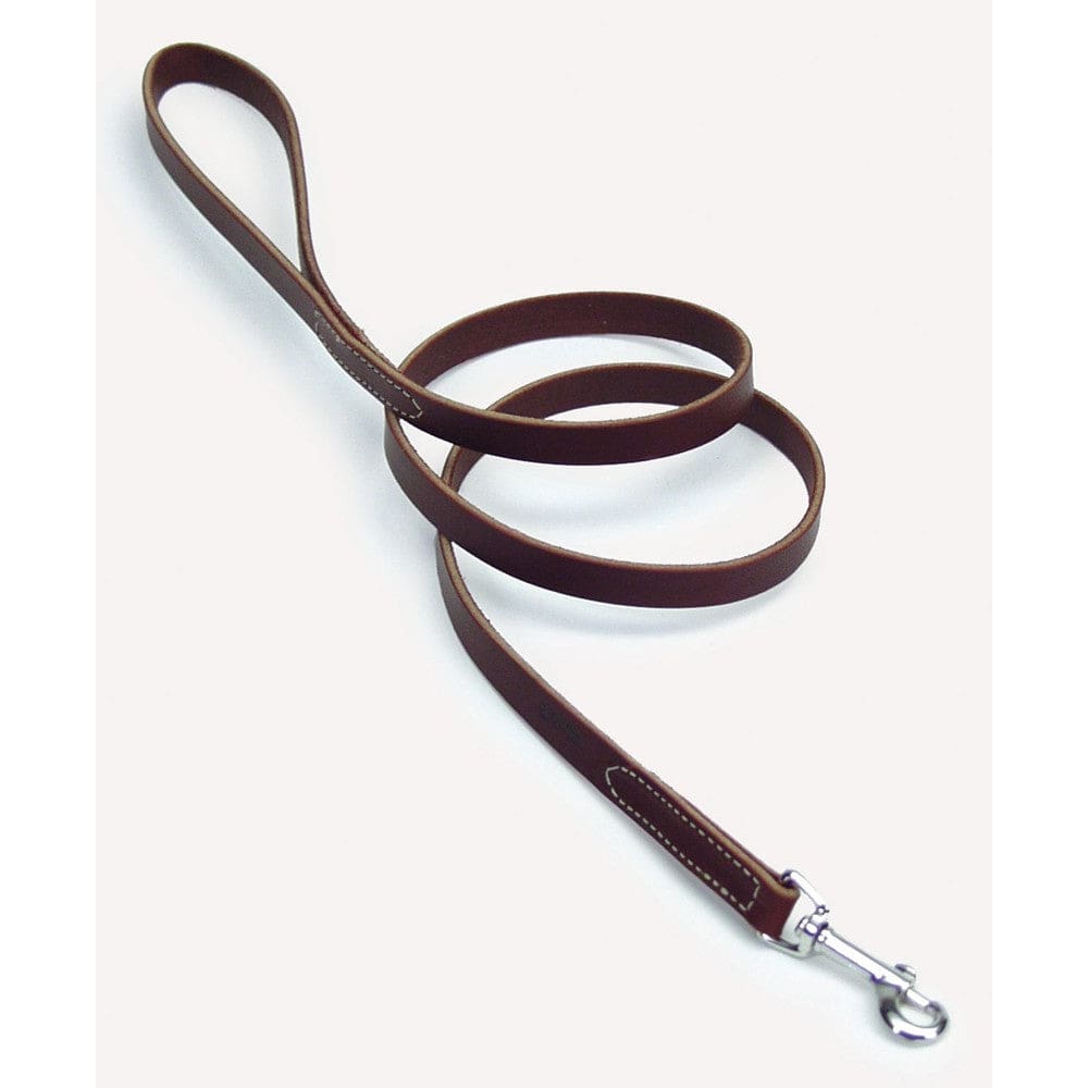 Circle T Latigo Leather Dog Leash Brown 1 in x 6 ft - Pet Supplies - Circle T