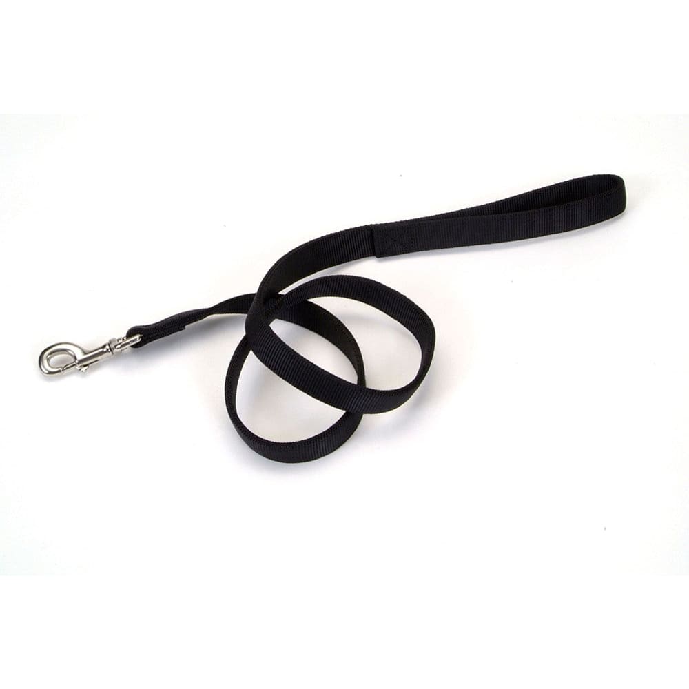 Coastal Double-Ply Nylon Dog Leash Black 1 in x 4 ft - Pet Supplies - Coastal