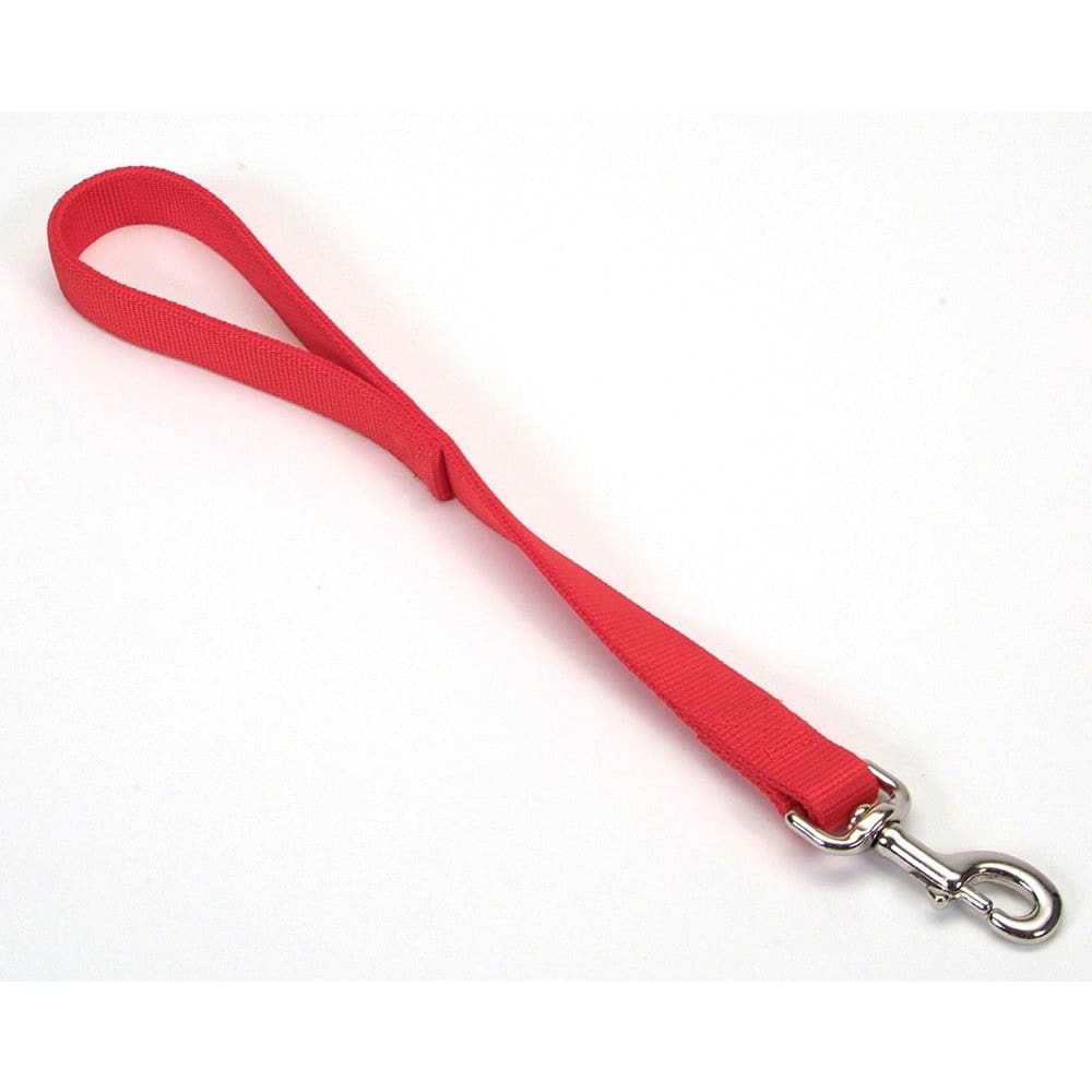 Coastal Double-Ply Nylon Traffic Dog Leash Red 1 in x 24 in - Pet Supplies - Coastal