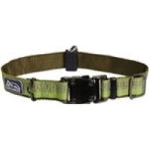 Coastal K9 Explorer 1 Inch Adj Collar Fern Green (18-26 Inch) - Pet Supplies - Coastal